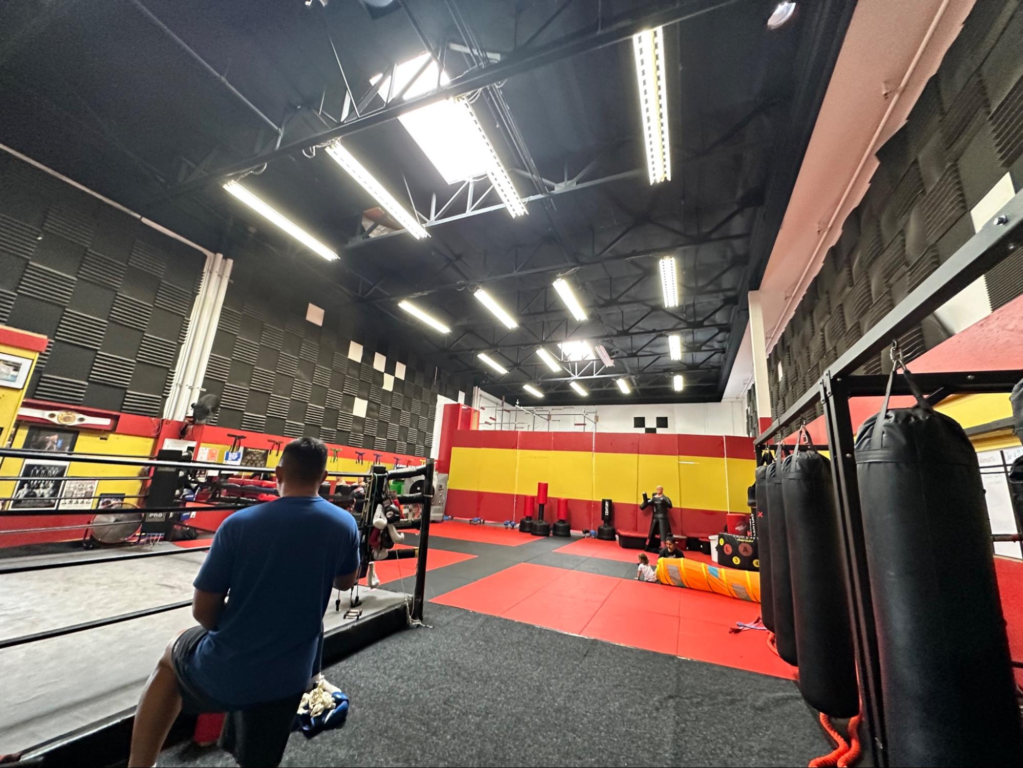 Blur Martial Arts gym interior — boxing ring and training floor